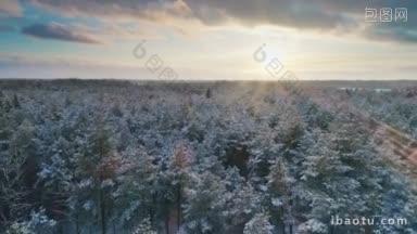 圣诞节期间，在北方国家冬季森林上空的空中飞行，森林被雪覆盖